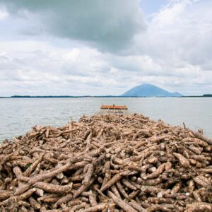 Premium Tapioca Starch – For Food & Light Industrial Applications